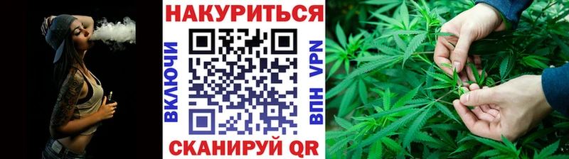 ОМГ ОМГ как войти  Электроугли  Каннабис индика 